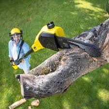 Best Stump Grinding and Removal  in Kings Park, VA